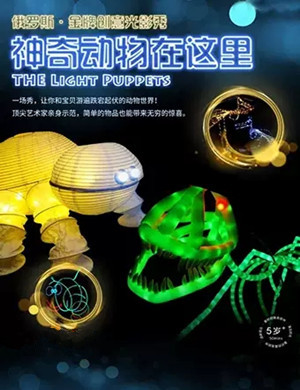 光影秀神奇动物在这里深圳站