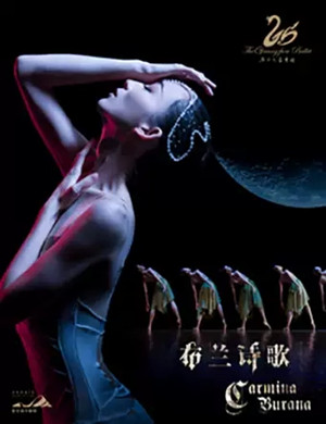 2019芭蕾舞剧布兰诗歌哈尔滨站