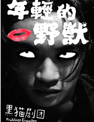 话剧年轻的野兽武汉站