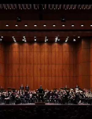曼海姆爱乐交响乐团长沙音乐会