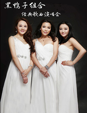 黑鸭子与韩旭深圳演唱会