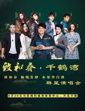 致和春之夜盐城演唱会