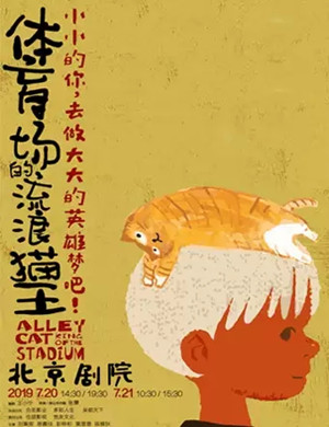 儿童剧体育场的流浪猫王北京站