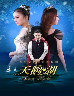 音乐剧天鹅湖石家庄站