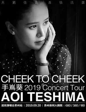 2019手嶌葵苏州演唱会