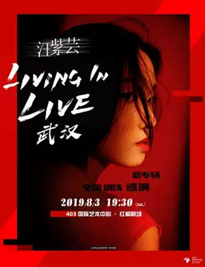 汪紫芸武汉演唱会