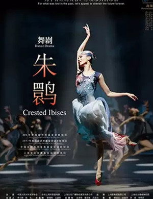 舞剧朱鹮广安站