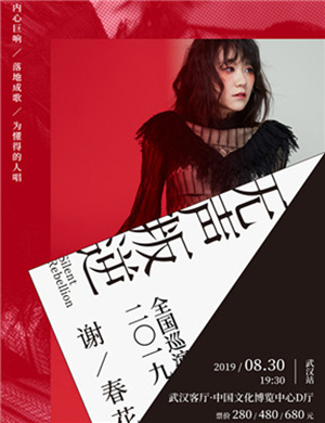 谢春花武汉演唱会