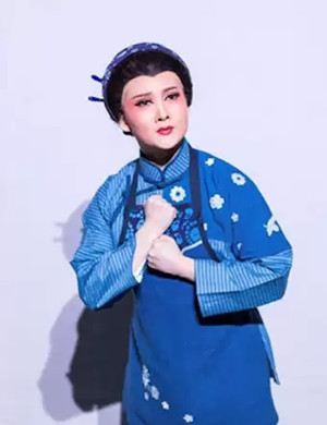 潮剧桑浦山花北京站