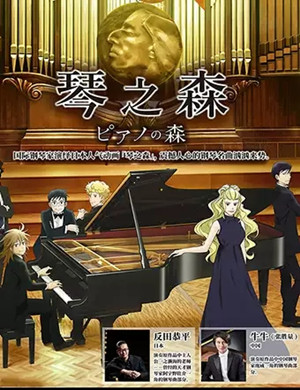 琴之森重庆音乐会