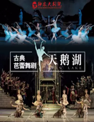 2019芭蕾舞剧天鹅湖株洲站
