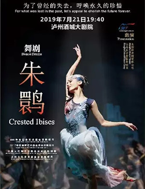 舞剧朱鹮泸州站