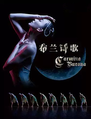 芭蕾舞剧布兰诗歌银川站