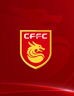 2019中超河北华夏幸福主场赛事廊坊站