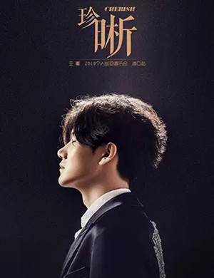 王晰海口演唱会