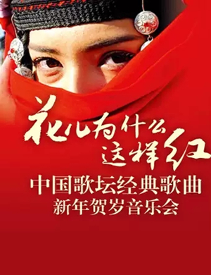 花儿为什么这样红郑州音乐会