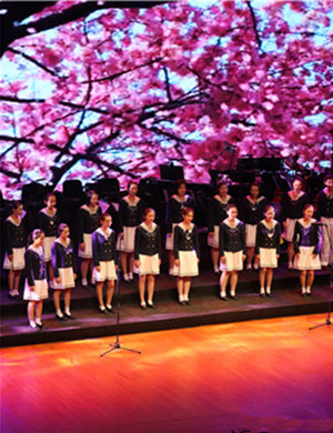 在灿烂阳光下北京音乐会