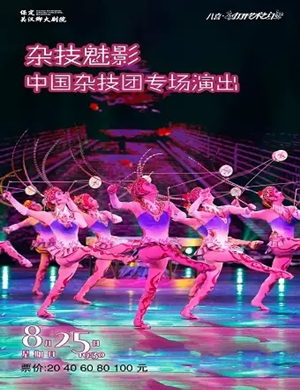 中国杂技团保定专场