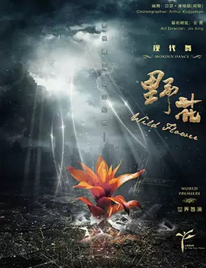 现代舞野花成都站