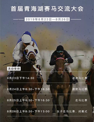2019海北万马奔腾比赛