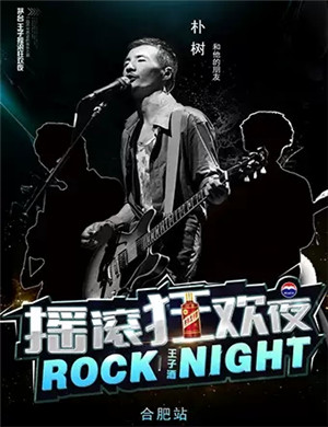 朴树和他的朋友合肥演唱会