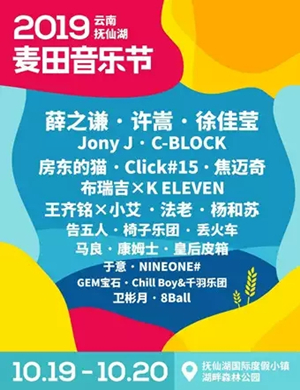 2019云南抚仙湖麦田音乐节