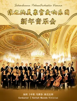 美泉宫交响乐团深圳音乐会