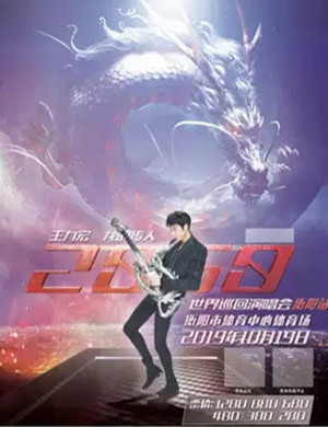 王力宏衡阳演唱会