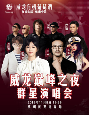 孙燕姿汪峰毛不易杭州演唱会