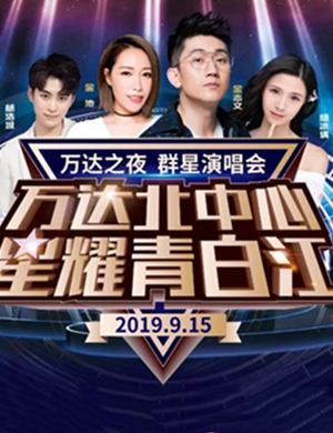 2019金志文成都群星演唱会
