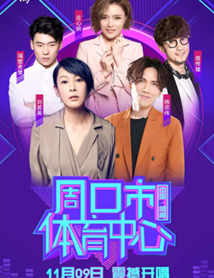 2019刘若英杨宗纬周口群星演唱会