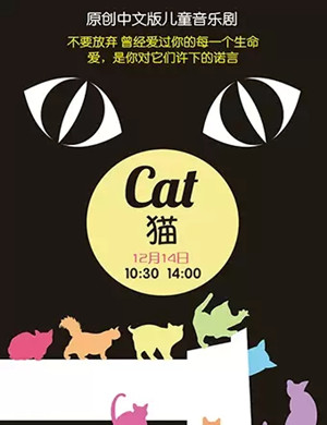 音乐剧猫上海站