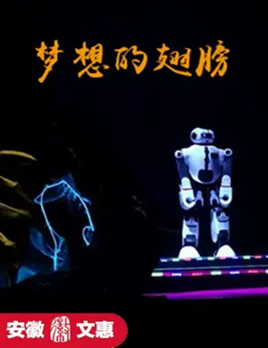 儿童剧梦想的翅膀合肥站