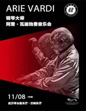 2019阿里瓦迪武汉音乐会