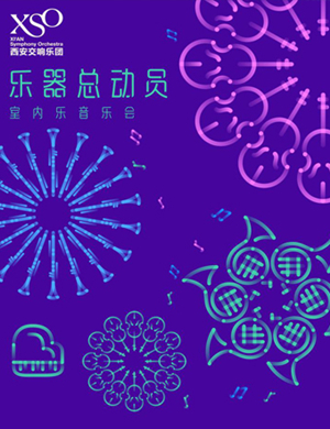 乐器总动员室内乐西安音乐会