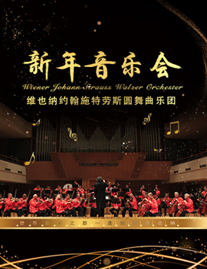 施特劳斯圆舞曲乐团武汉音乐会