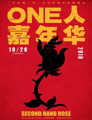 二手玫瑰乐队天津演唱会