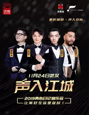 真心日记武汉音乐会