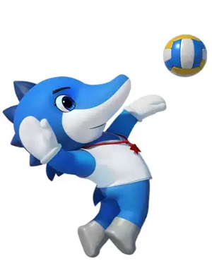 2019军人运动会男子排球武汉站