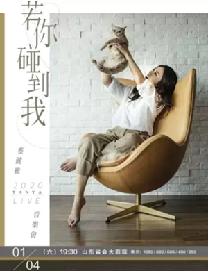 蔡健雅济南演唱会