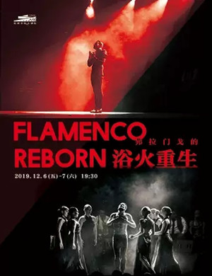 舞蹈弗拉门戈的浴火重生杭州站
