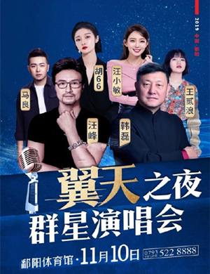 2019翼天之夜鄱阳群星演唱会