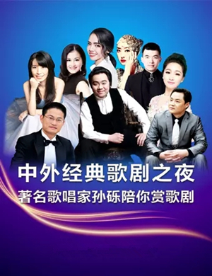 中外经典歌剧萍乡站