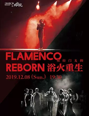 2019舞蹈弗拉门戈的浴火重生宁波站