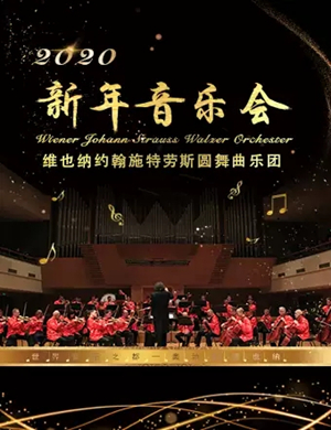 施特劳斯圆舞曲乐团天津音乐会