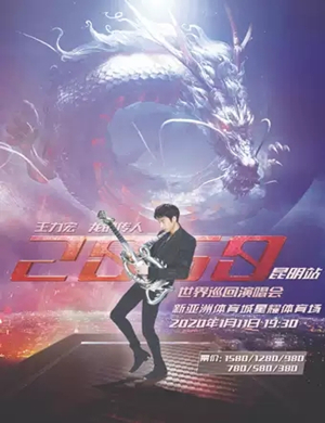 王力宏昆明演唱会