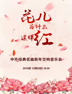 2019花儿为什么这样红北京音乐会
