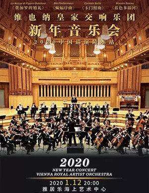 维也纳皇家交响乐团陵水音乐会