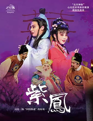 五音戏紫凤潍坊站