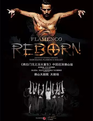 2020舞蹈弗拉门戈的浴火重生佛山站